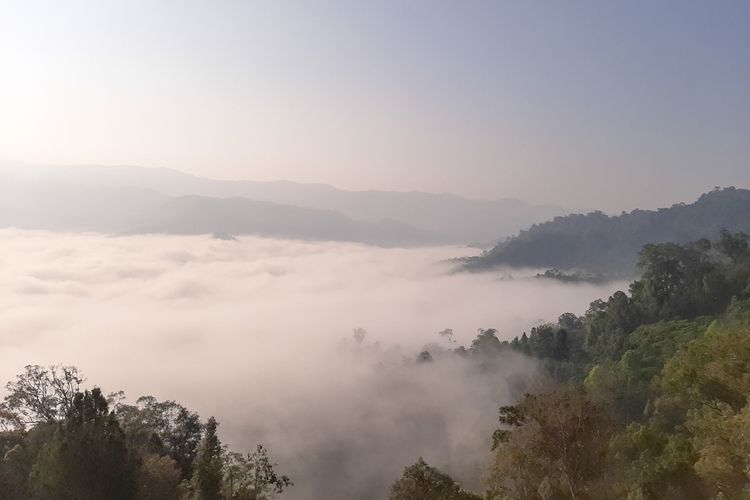 Pesona Negeri di Atas Awan di Desa Citorek Kidul, Kecamatan Cibeber, Kabupaten Lebak, Banten, Minggu (15/9/2019).