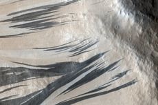 Unduh Panduan Penggunaan Logo Hari Guru Nasional 2025 Kemendikdasmen dan Kemenag