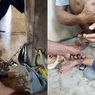 Bocah Dirantai Orangtua di Lampung, Polisi: Alasannya agar Anak Diam