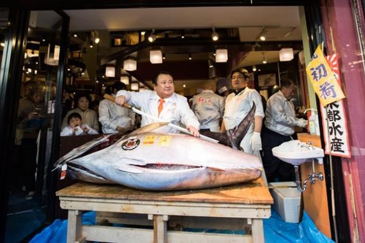 Kiyoshi Kimura, pengusaha restoran sushi yang dikenal dengan julukan Raja Tuna, memperlihatkan ikan tuna seberat 212 kilogram yang dibelinya dalam lelang dengan harga Rp 8,5 miliar.