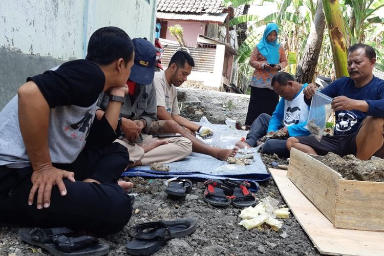 Petugas BPSM Sangiran merapikan puluhan fosil paus di Desa Kapuan, Kecamatan Cepu, Kabupaten Blora, Jawa Tengah.