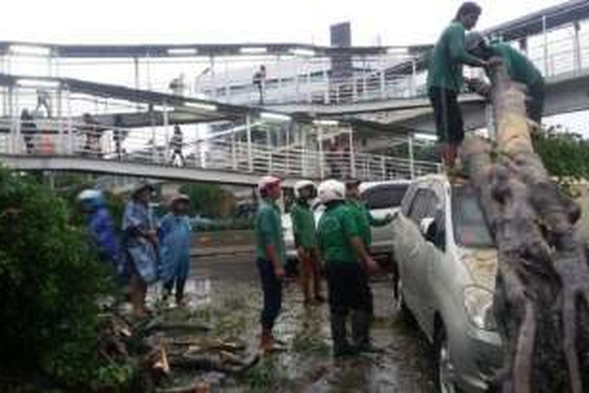 Sebatang pohon beringin tumbang menimpa mobil di Jalan Letjen Sutoyo, Cawang, jakarta Timur saat hujan deras disertai petir dan angin kencang melanda Jakarta, Jumat (11/11/2016) siang. 