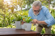 Hobi Berkebun Bikin Umur Lebih Panjang, Apa Sebabnya?