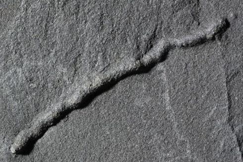 Bukti Pergerakan Awal Organisme Terperangkap di Batu 2,1 Miliar Tahun