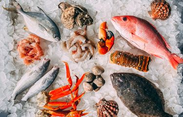 Ilustrasi seafood 