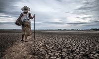 El Nino Bukan Sekadar Musim Kemarau, Ini Dampaknya bagi Kita