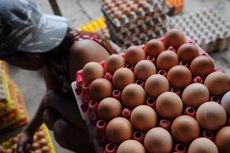 Indonesia Ekspor Telur Ayam ke Myanmar