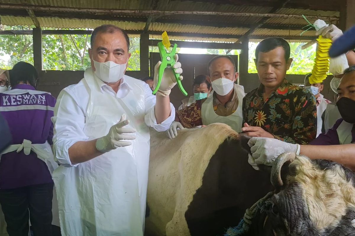 Direktur Jenderal Peternakan dan Kesehatan Hewan (Dirjen PKH) Nasrullah saat melakukan pencanangan vaksinasi massal secara nasional di peternakan sapi perah Dusun Tanjunganom, Desa Tanjungsari, Kecamatan Taman Sidoarjo di Kabupaten Sidoarjo