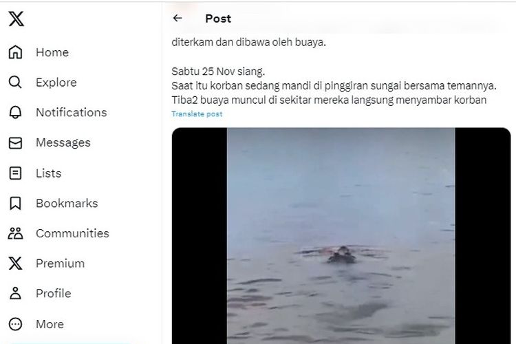 Tangkapan layar video bocah diterkam buaya di Sungai Arut, Kalimantan Tengah.