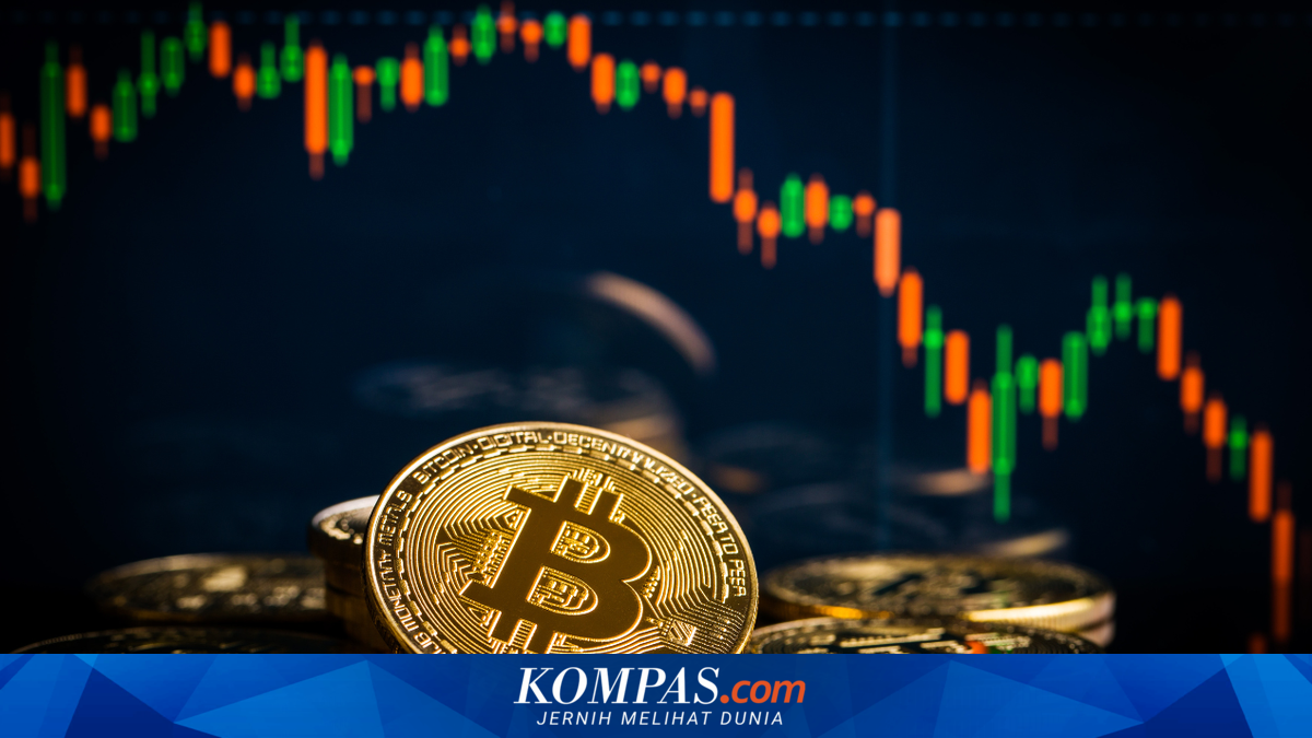 Pionir Kripto Terancam Kehilangan Bitcoin Rp 12,7 Triliun Akibat Lupa ...