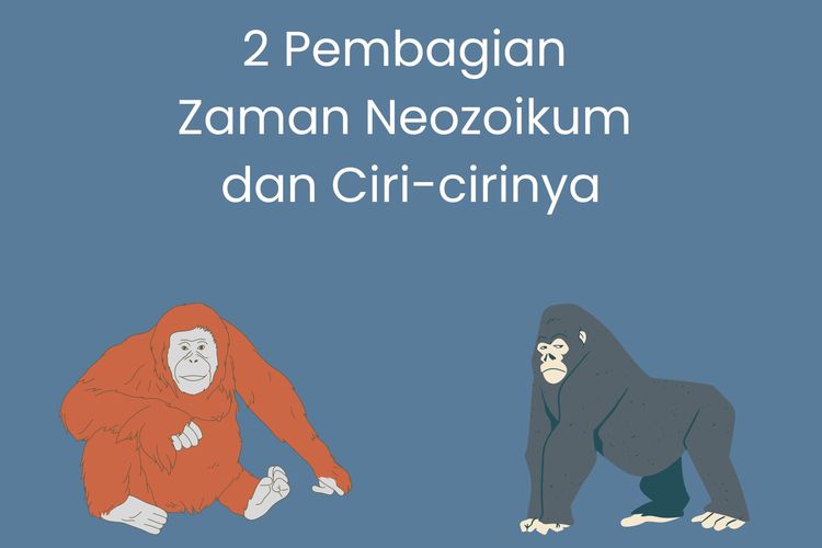 Zaman neozoikum dibedakan atas dua zaman, yakni zaman neozoikum tersier dan kuarter. Apa saja ciri-cirinya?