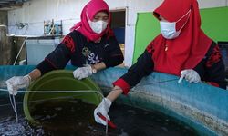 Wujudkan Kampung Perikanan Budi Daya, Kementerian KP Gencar Berikan Pelatihan untuk Masyarakat