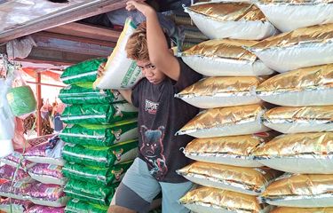 Harga Beras Premium di Pasar Makassar Tembus Rp 400.000 Per Karung