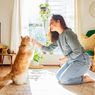 5 Cara Berkomunikasi dengan Kucing Peliharaan Anda