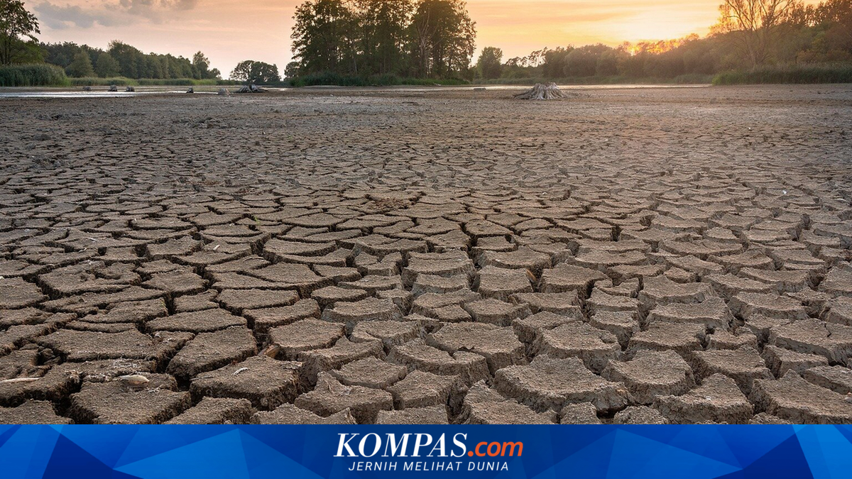 15 Desa di Trenggalek Dilanda Kekeringan, BPBD Droping 10.000 Liter Air Bersih per Hari