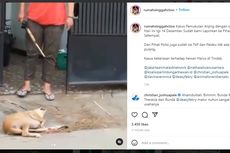 Siksa Anjing Miliknya, Seorang Perempuan di Cipondoh Dilaporkan ke Polisi