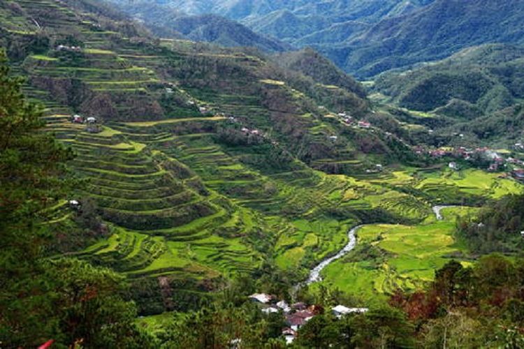 Rice Terraces of the Philippine Cordilleras di Filipina.