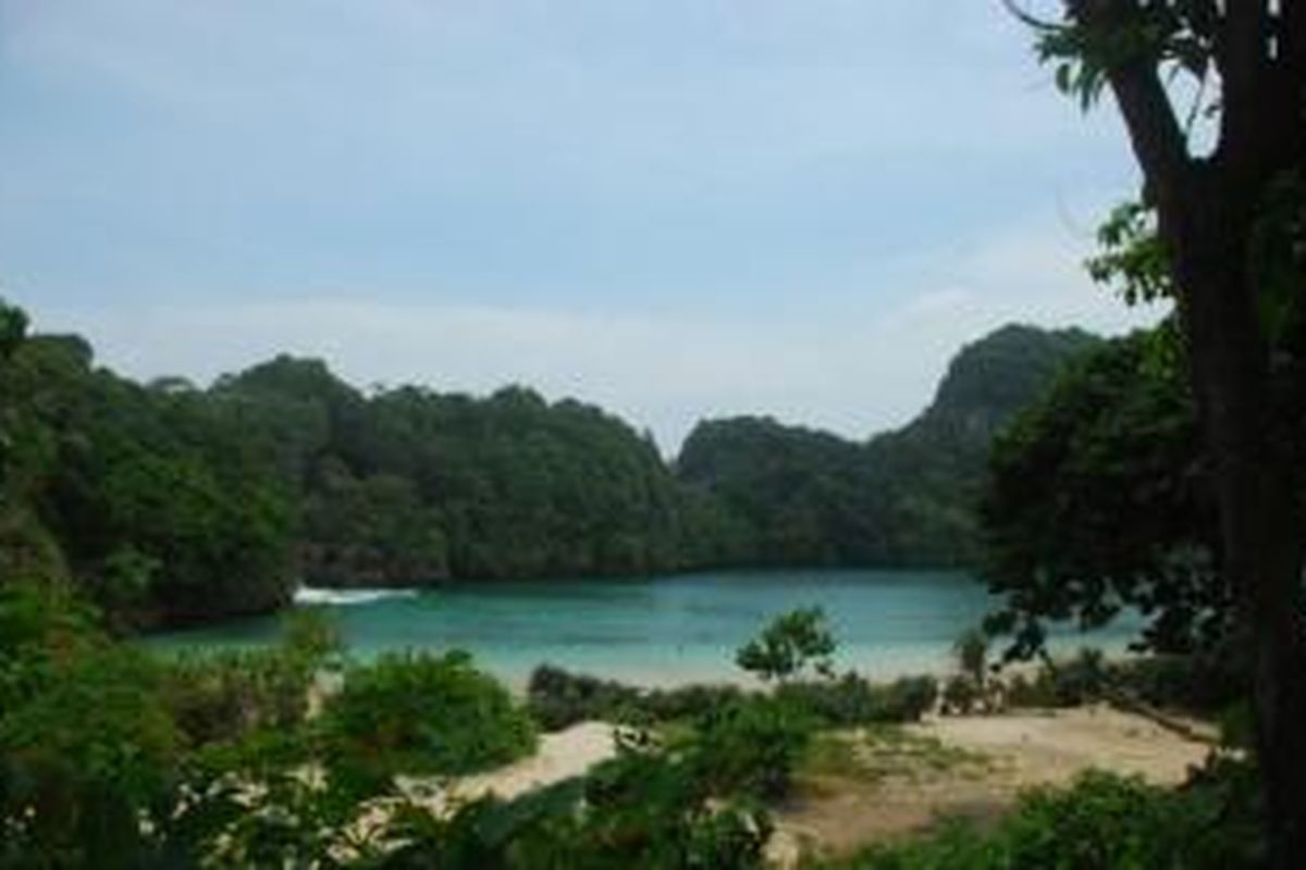 Segara Anakan di Kawasan Cagar Alam Pulau Sempu. Cagar Alam Pulau Sempu berada di bawah koordinasi Balai Besar Konservasi Sumber Daya Alam Jawa Timur.