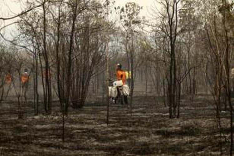 Relawan membawa jerigen untuk memadamkan api di Taman Nasional Tanjung Puting, Kotawaringin Barat, Kalimantan Tengah, Senin (26/10/2015). Sejak akhir bulan September 2015, para relawan yang berasal dari berbagai lembaga maupun organisasi berjibaku memadamkan api yang menghanguskan sedikitnya 90.000 hektar hutan di TNTP.