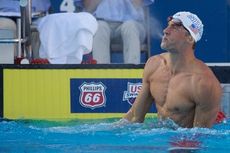 Le Clos Menantang, Phelps Balas 