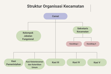 Struktur Organisasi Kecamatan