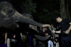 Surabaya Night Zoo Bakal Dibuka Awal Juni 2023