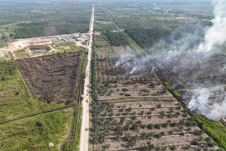 Karhutla Jambi Lintasi Pipa Migas Petro China, 7 Orang Jadi Tersangka