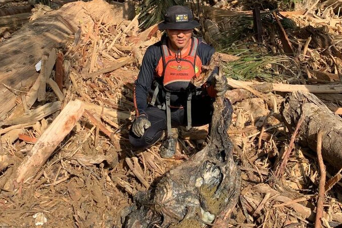 Satu orangutan tapanuli (Pongo tapanuliensis) ditemukan mati oleh tim relawan, saat melakukan pencarian korban banjir di aliran Sungai Garoga, Desa Pulo Pakkat, Kecamatan Sukabangun, Tapanuli Tengah, Rabu (3/12/2025). 