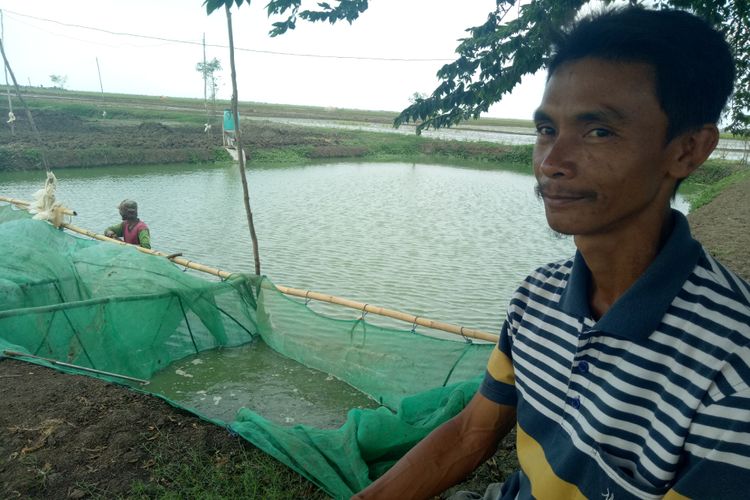 Sarman (40), salah satu juragan lele di Desa Krimun, Lohsari, Indramayu, Jawa Barat, sedang mengawasi para pekerjanya merawat dan memanen lele di sejumlah kolam miliknya. Saat ini ia memiliki 200 kolam lele, dan 100 kolam lele lainnya yang digadaikan para peternak lele kepadanya. Dari ratusan kolam tersebut, setiap hari ia memanen lele seberat tujuh ton. 