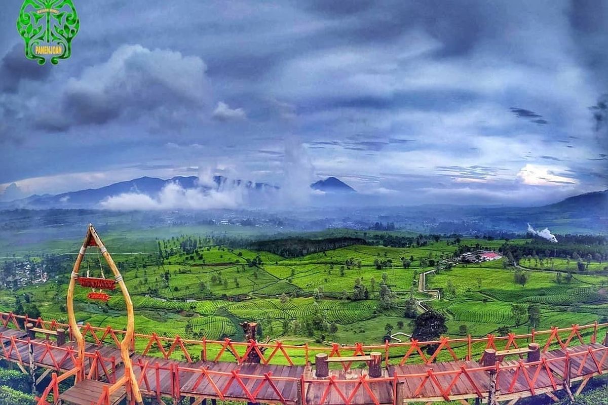 Pemandangan di sekitar Wayang Windu Panenjoan dengan hamparan kebun teh yang luas dan kabut tipis