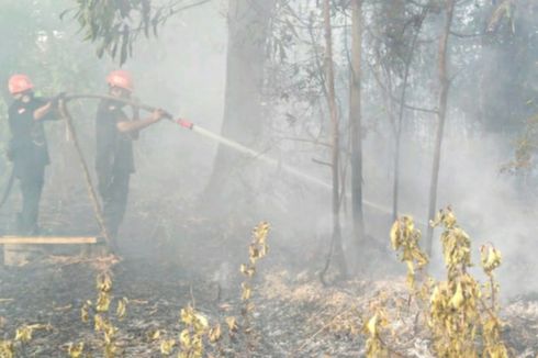 3 Hektar Lahan yang Terbakar di Pekanbaru Berhasil Dipadamkan Petugas