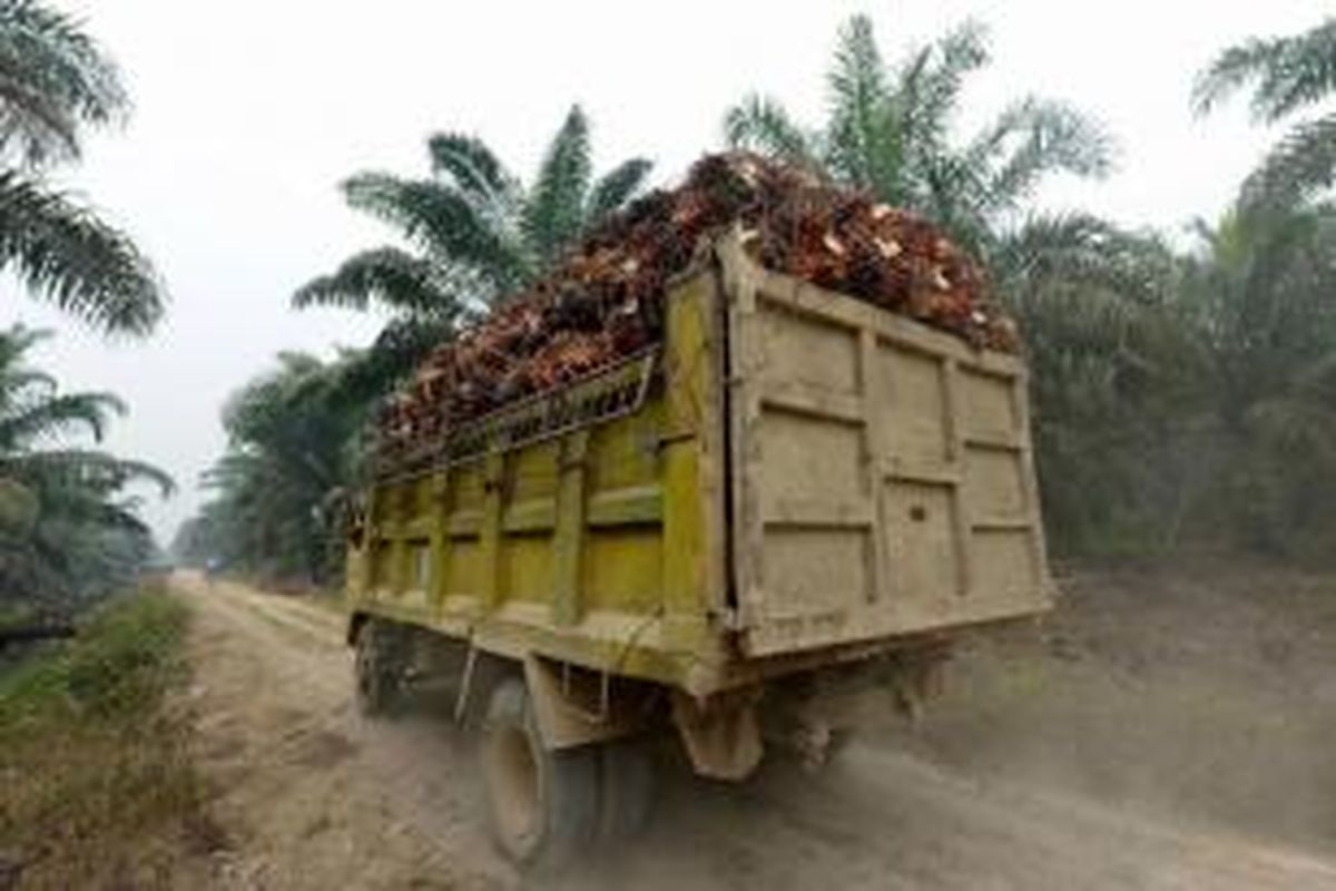 Ilustrasi: truk mengangkut kelapa sawit 
