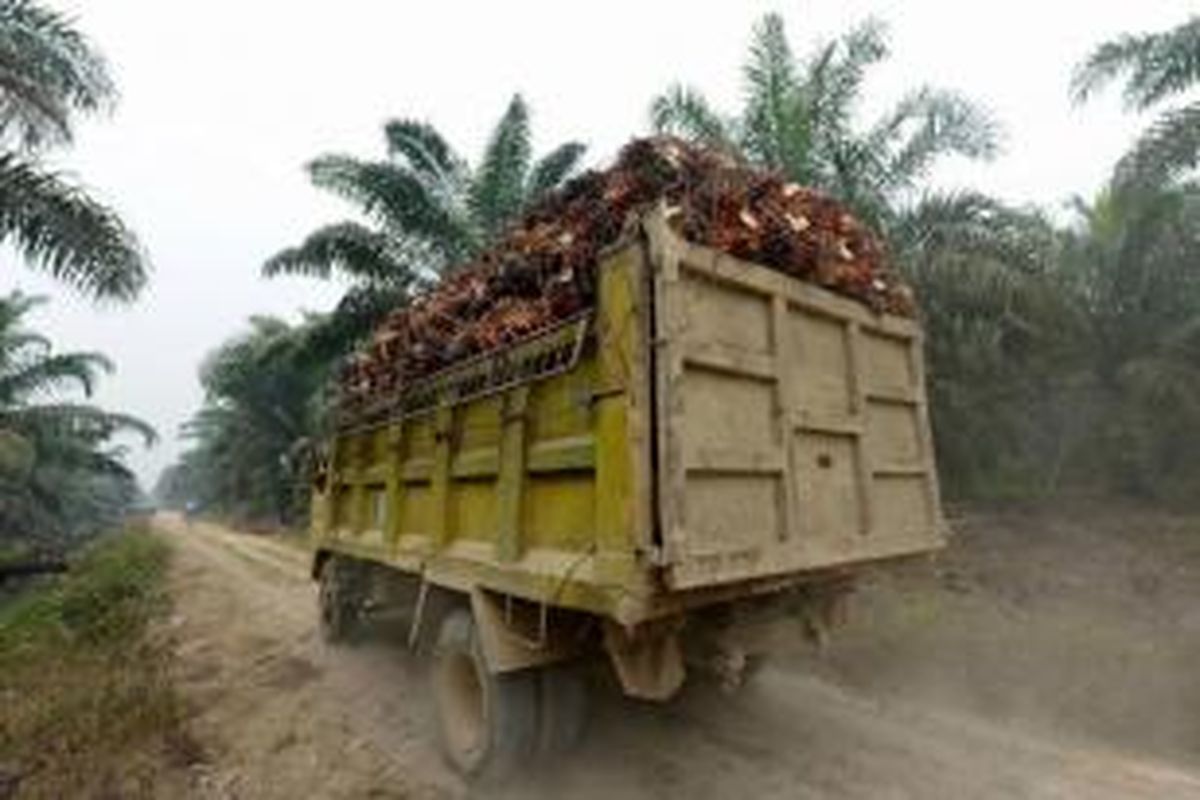 Truk mengangkut kelapa sawit di area perkebunan di Pelalawan, Riau, 16 September 2015. 