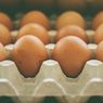 Harga Telur Ayam di Jakarta, Terendah Rp 19.000 Per Kilogram