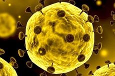 Korban Meninggal Virus Corona Per 17 Februari 2020 Capai 1.765 Orang