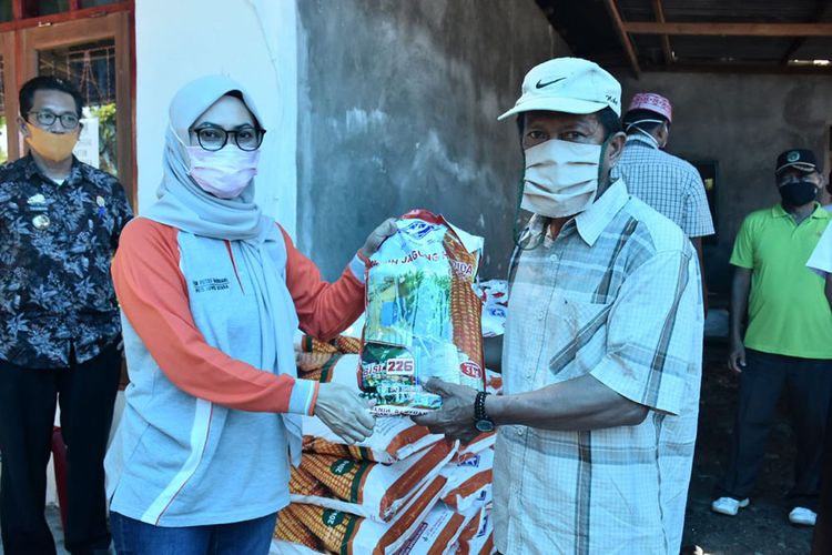 Bupati Luwu Utara Indah Putri Indriani menyerahkan bantuan benih jagung di Kecamatan Malangke