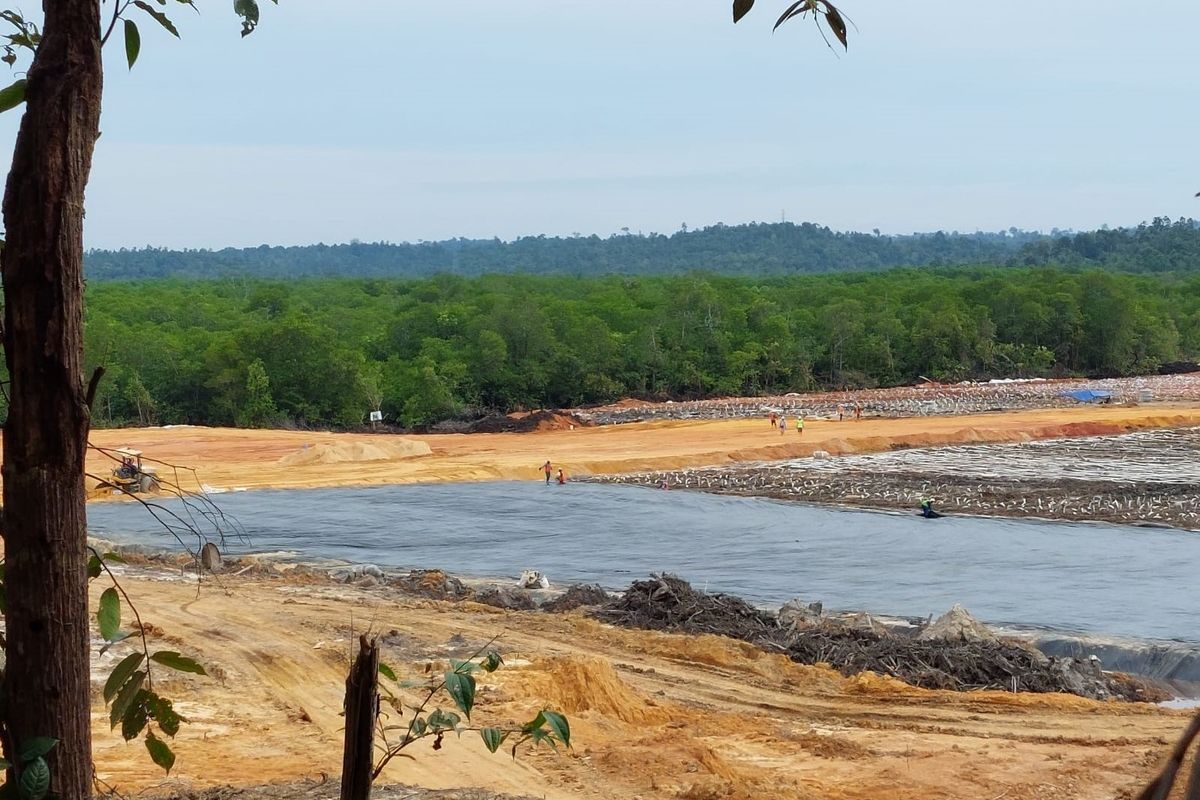 Hutan mangrove di wilayah Kawasan Industri Kariangau (KIK) rusak akibat pembangunan smelter nikel.