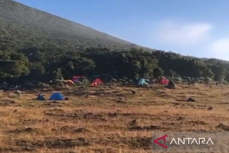 Kawasan Alun-alun Suryakancana Gunung Gede, diselimuti es sejak beberapa hari terakhir karena penurunan suhu lebih dingin terutama saat malam dan pagi hari.