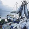 Komoditas Ekspor Indonesia Bidang Peternakan dan Perikanan