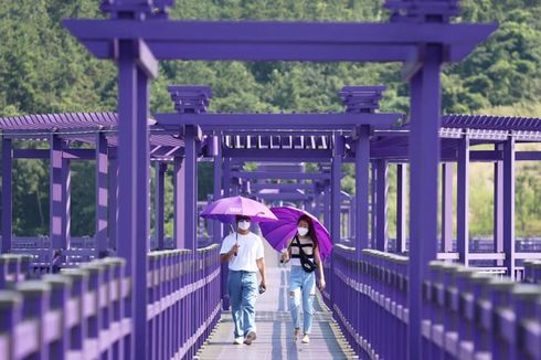 Unik, Ada Pulau Berwarna Ungu di Korea Selatan