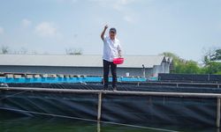 Kementerian Kelautan dan Perikanan Tebar Benih Nila Salin Siklus Kedua di BINS Karawang