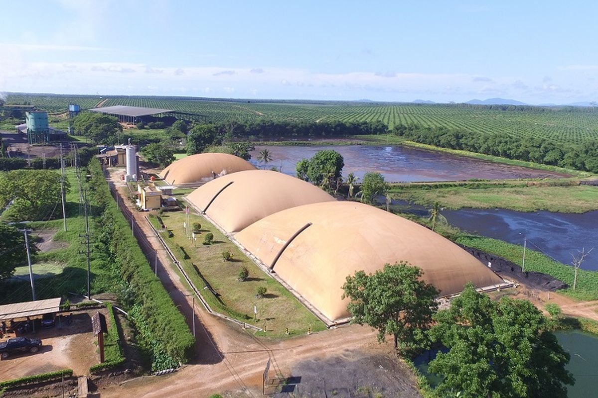 Pembangkit listrik tenaga biogas yang berlokasi di Belitung.
