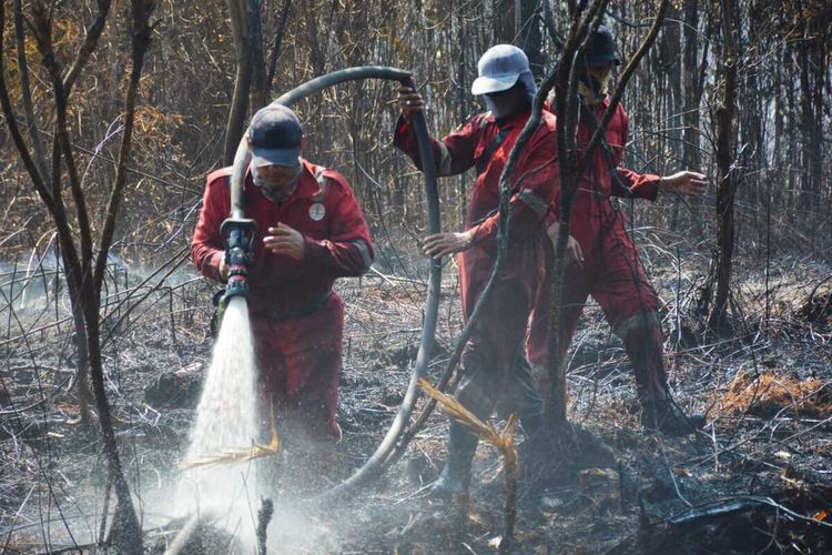 Petugas berjibaku memadamkan api di kawasan hutan Suaka Margasatwa Giam Siak Kecil di Kabupaten Bengkalis, Riau, Rabu (3/3/2021).