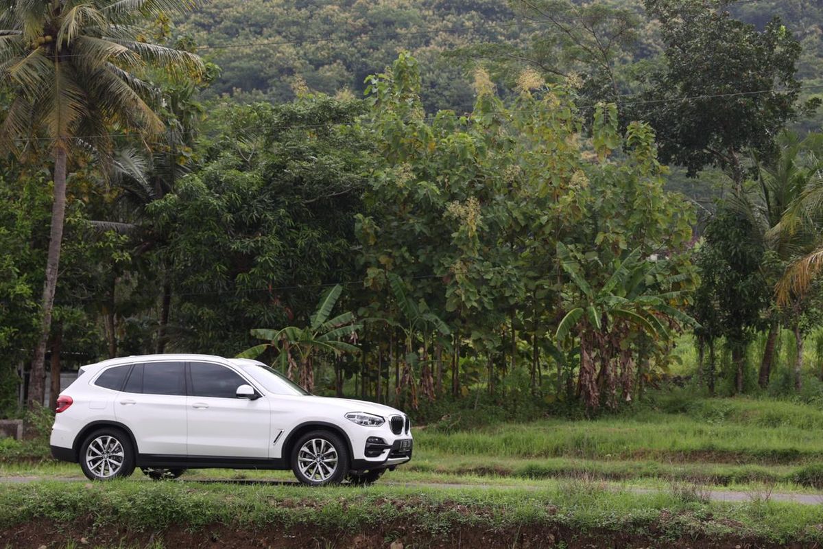 New BMW X3 sDrive20i