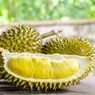 Diduga Gas Bocor, Setelah Didatangi Damkar Ternyata Bau Durian