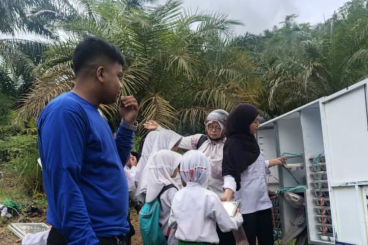 Cerita Puluhan Siswa di Sebatik Kaltara, Santap MBG di Pinggir Sungai akibat Jembatan Putus