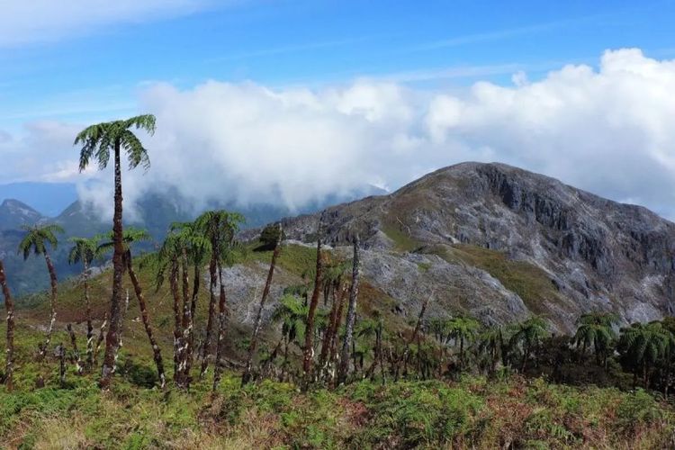 Bantah Kepala BNT Manusela, Lebih dari 50 Guide Gunung Binaiya Bersertifikat