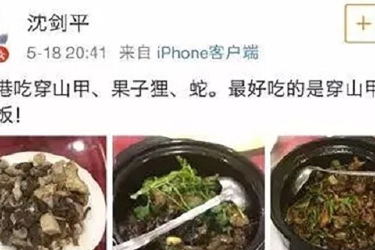 Inilah postingan di Weibo seorang pria bernama Shen Jianping yang memperlihatkan dia makan daging trenggiling dan musang. Dia kemudian dipecat setelah dianggap menjatuhkan citra perusahaan.