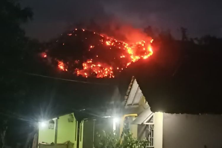 Hutan Pinus Perhutani di Kebumen Terbakar: Medan Sulit, Petugas Padamkan Api hingga Malam