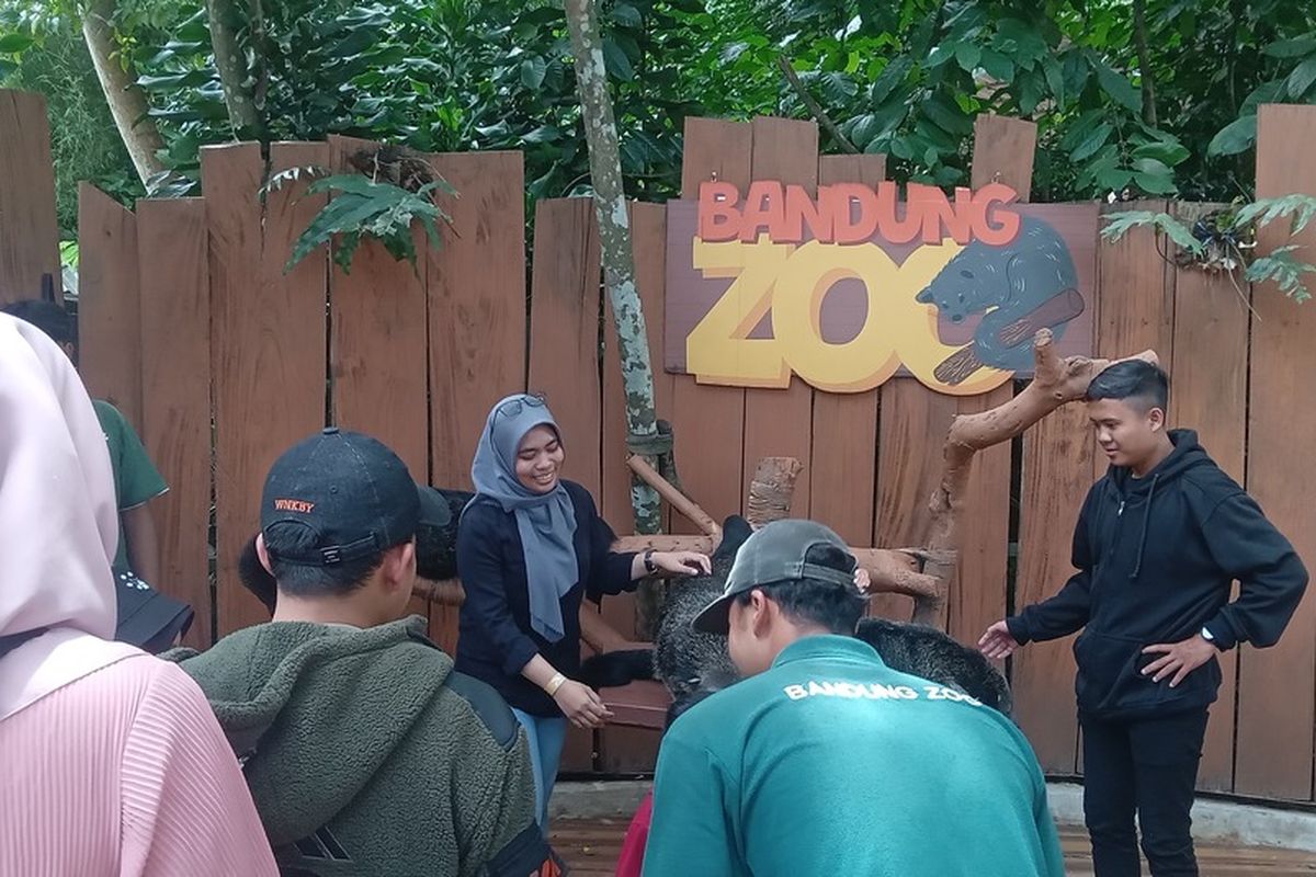 Yayasan Kehabisan Dana, Karyawan Bandung Zoo Urunan Selamatkan Nasib 710 Satwa